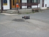 dscn2658