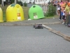 dscn2701